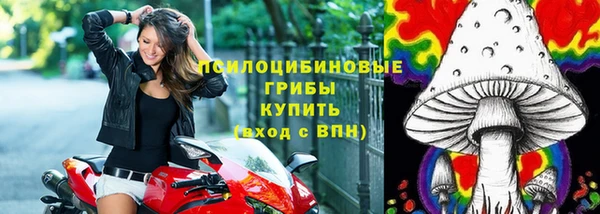 ECSTASY Новодвинск