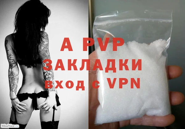 ECSTASY Новодвинск