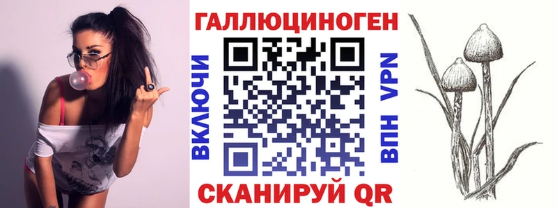 купить наркотик  Новоаннинский  Галлюциногенные грибы мицелий 